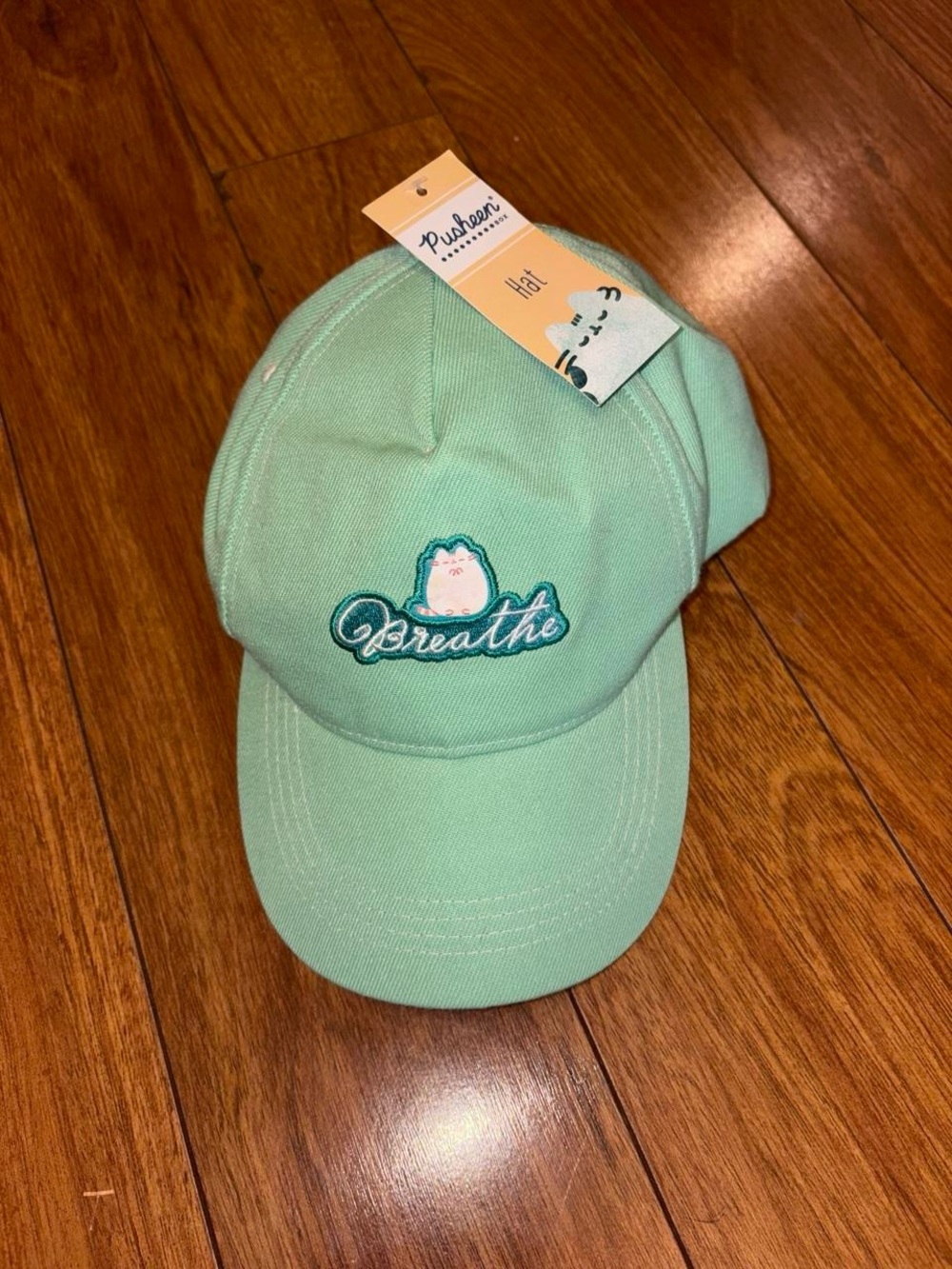 NWT Pusheen the Cat hat